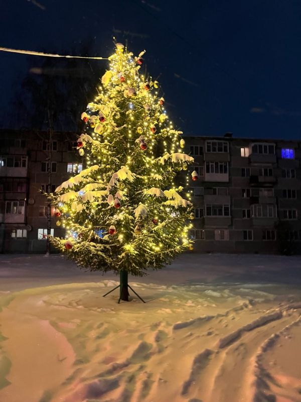 В некоторых дворах вологжане сами наряжают ёлочки, чтобы создать новогоднее настроение соседям и прохожим