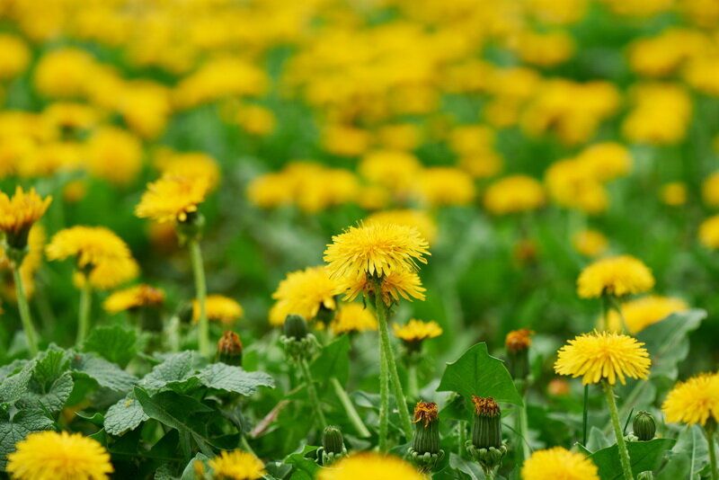 ������ � �����������: ��� �������� ���� ������� �� ����� ��������� �������