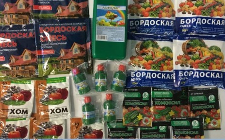 Защитите свой урожай: контактные препараты для сада в 2026 году