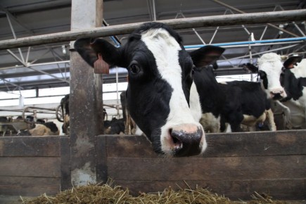 ������� ��������� ��������� ������ �������� ������� ����������� ������� ���������� �� ������ ������ ��� � ������� ������������ � 2025 ����