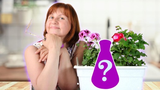 �������� ��� ���������: ��� ��������� �������� ������ ��������� ��������