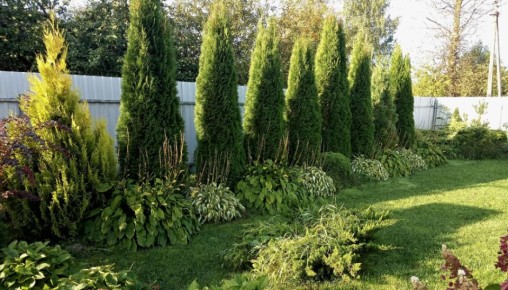 ������ ������������� � ������ ����� ��� ������ ����: ���� ��� �������