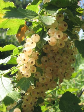 ������������ ����� ��������� � � ������������