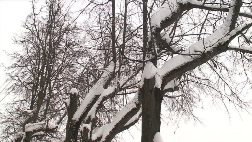 �������������� ���������: ������ �� -30 �������� ��������� � ����������� �������