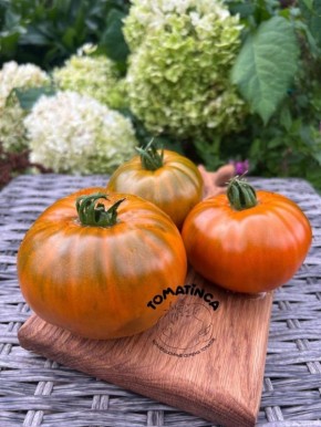 ����� ���������� �����: ���������� ����������� ������ �� ����� �������