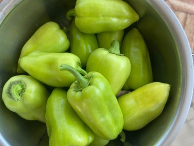 ��������� ���� ��� �������: ������������� ����� ��� ����