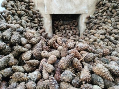 ����� ����� ����� � ����� �������