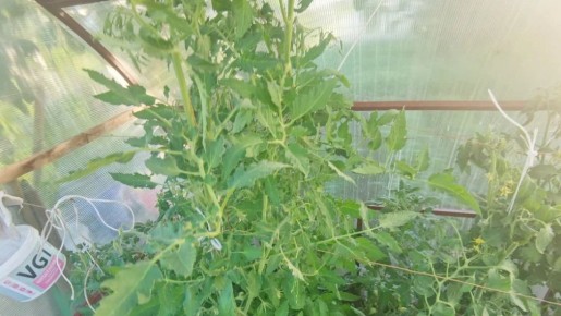 ���������� ���������� �������: ���� � ��������� ������