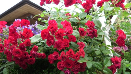 ��� ������ ����: 7 ���������������� ������, ������� ����� �������� ���� �����