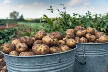 ��� ��������� ��������: ������� ��������� ������