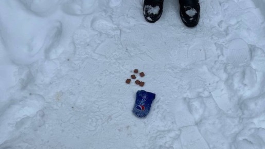 � ��������� ��������� 28-������� ������� �� ������� ����� ����������