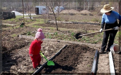 �������� ������ ��������: ��� ������ ������� � �����