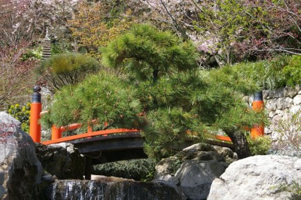 ������������ ��������, ����������� ��� ����� ��������