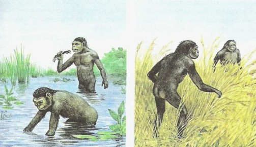 ������� � ����: ������������ ����� � ����� ������������ ������