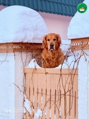 ���� �� ������� -15,-20� �� ������ �� -10�