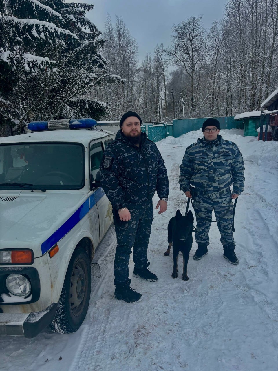 В Череповце кинологи и немецкая овчарка по кличке «Нубира» разыскали двух подростков