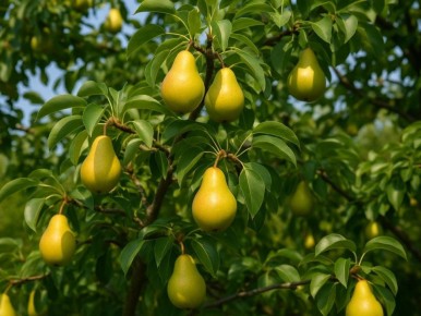 ���� '���������' ����� ���� �� 50 �� ���� � ������