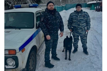 Череповецкие кинологи и их немецкая овчарка разыскали двух подростков