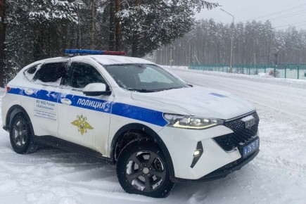 Из-за морозов Госавтоинспекция усиливает контроль на трассах Вологодчины