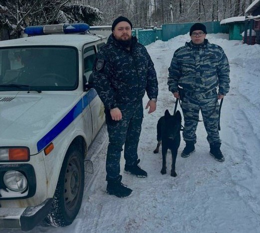 Кинологи с собакой разыскали двух не вернувшихся домой школьников в Череповце