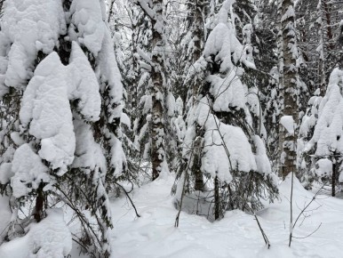 ���� -11� -16�, ������� ��������� ����