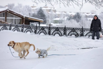 ���� -11� -16�, ��������� ����