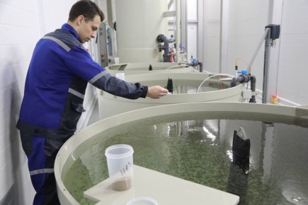 ����� ������������ ��������� ������������ � ����������� ������� ����� �� 20%