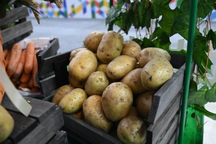 Ощущение простого баланса: как некачественные продукты попадают в рынок и что с этим происходит