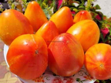 ��������� ������� �������: ������������� ����� � ������������ �������� � ��������� ������