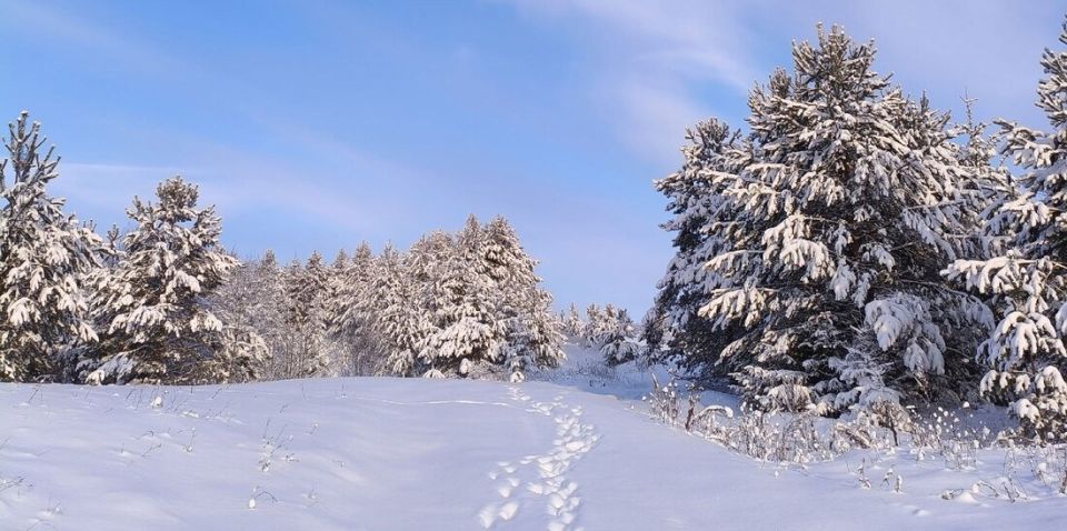 Аномальное похолодание ожидает вологжан в ближайшие дни
