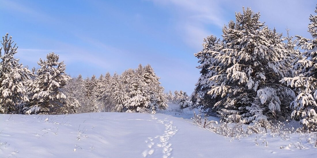Аномальное похолодание ожидает вологжан в ближайшие дни