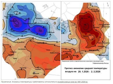 ���������� ����������� ������� �����������: ��������� �������� ��������� ��������������