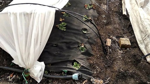 ��� ������ �������� �� ���� �� �������� ������ � ���������� �����������