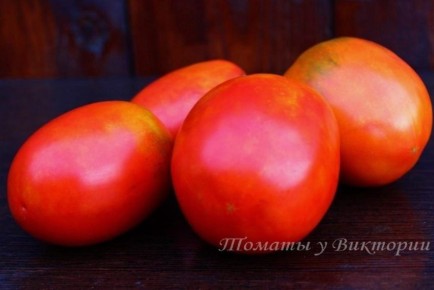 ���� ��������: ������� ����������� �����, ������� ������� �������