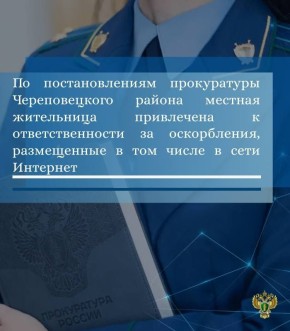 Прокуратура Череповецкого района провела проверку по обращению 37- летней жительницы с. Абаканово Череповецкого района об унижении ее чести и достоинства