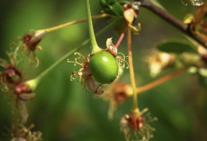 ������ ����� ������ ������: 6 ������ � ������ �� �������� ������