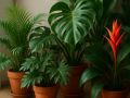 Тропическая экзотика для вашего дома: секреты ухода за растениями