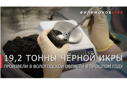 ����� ������������ ������ ���� �� ����������� ����� �� 15%