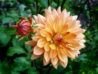 ��������� ���� � ������ ������ ���������: ��� �������� ������� �����