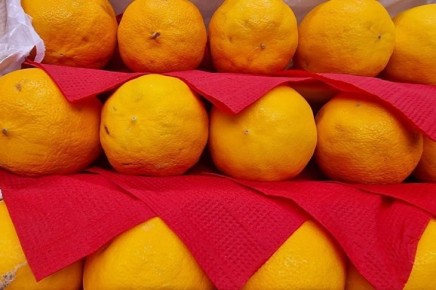 ������� ������� ���� �������: �� ������������ ���� �� ��������� �����