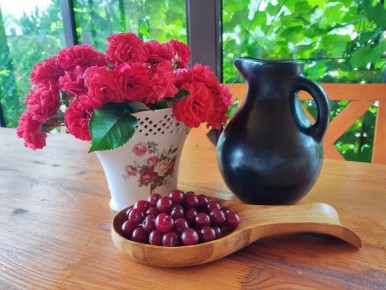 ������ ������: ��� ������� �������� ������� �����������?