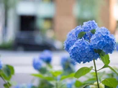 ��������� � ��������� ����: ����������� � ������ �� �����