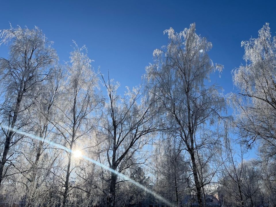 Морозный день в любимой Вологде