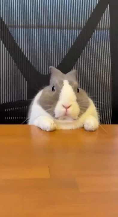 ���� �� ������� -12� -17�, ��������� ����