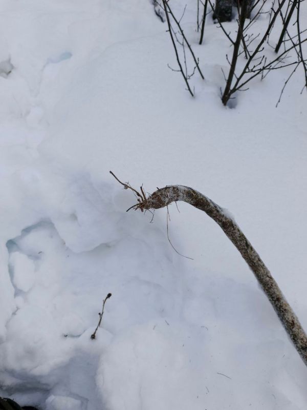 �������� ��������� ��������� ����������� ����� � ������� ���������� ���� ������ ��������� ����� ��-�� �������� �������, ������������ ��� �����