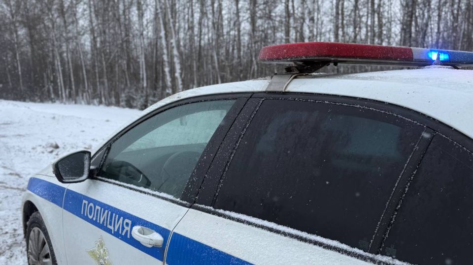 Вологжанка поблагодарила сотрудников Госавтоинспекции Вологодского округа за помощь на дороге