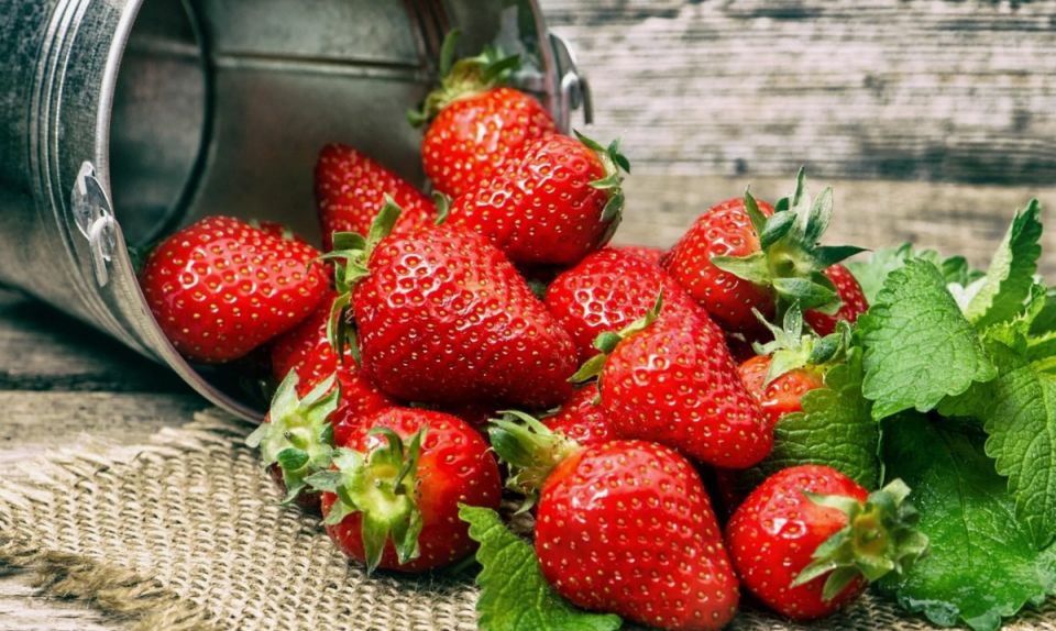 Как осенью заботиться о клубнике для хорошего урожая в следующем году