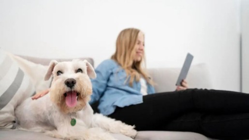 ����� �������� �������� �������� �������� ������������� � ������ ��������