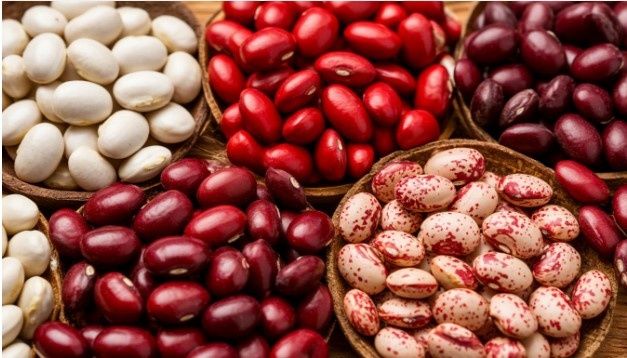 ������������� ��������: ������� ������� � ���������� �����������