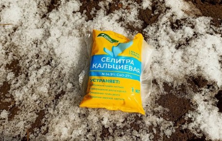 ����� ��������� ����� ������� ������ �� ������ ������: ����������� �����